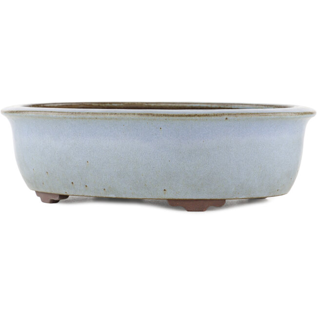 Maceta ovalada para bonsái azul de Yamaaki - 313 x 243 x 88 mm