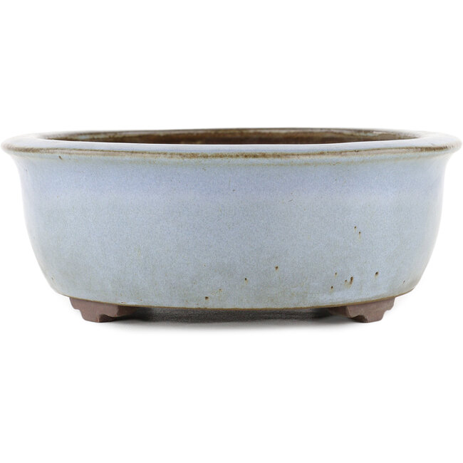 Oval blue bonsai pot by Yamaaki - 313 x 243 x 88 mm