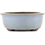 Oval blue bonsai pot by Yamaaki - 313 x 243 x 88 mm