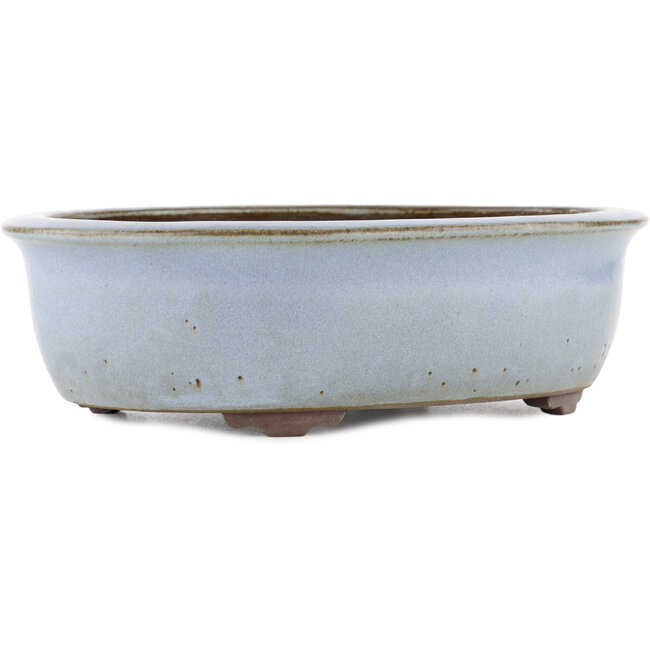Ovale blauwe bonsaipot van Yamaaki - 313 x 243 x 88 mm