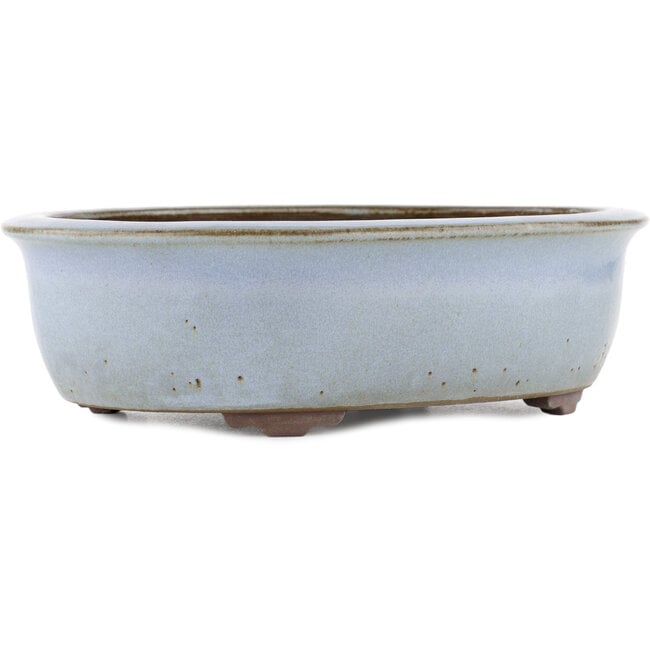 Ovaler blauer Bonsai-Topf von Yamaaki - 313 x 243 x 88 mm