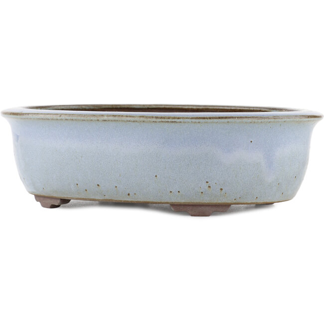 Ovale blauwe bonsaipot van Yamaaki - 313 x 243 x 88 mm