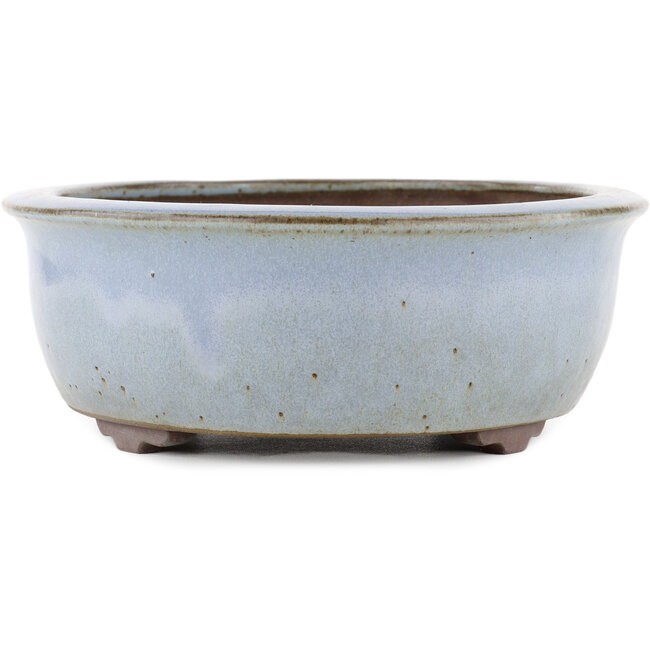 Pot à bonsaï ovale bleu par Yamaaki - 313 x 243 x 88 mm