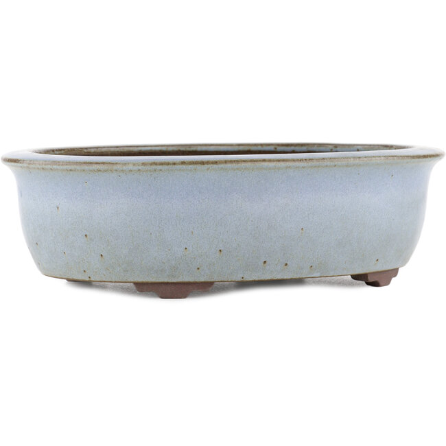 Oval blue bonsai pot by Yamaaki - 313 x 243 x 88 mm