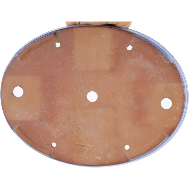 Ovale blauwe bonsaipot van Yamafusa - 320 x 229 x 47 mm