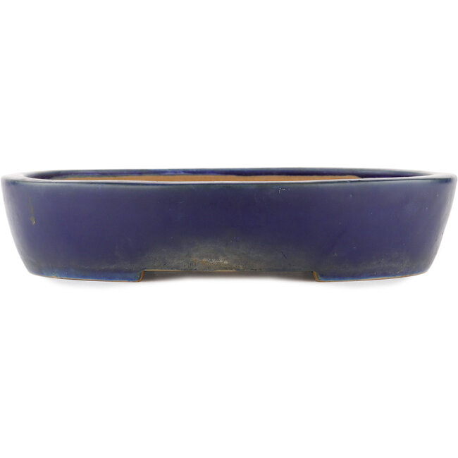 Ovaler blauer Bonsai-Topf - 317 x 264 x 67 mm