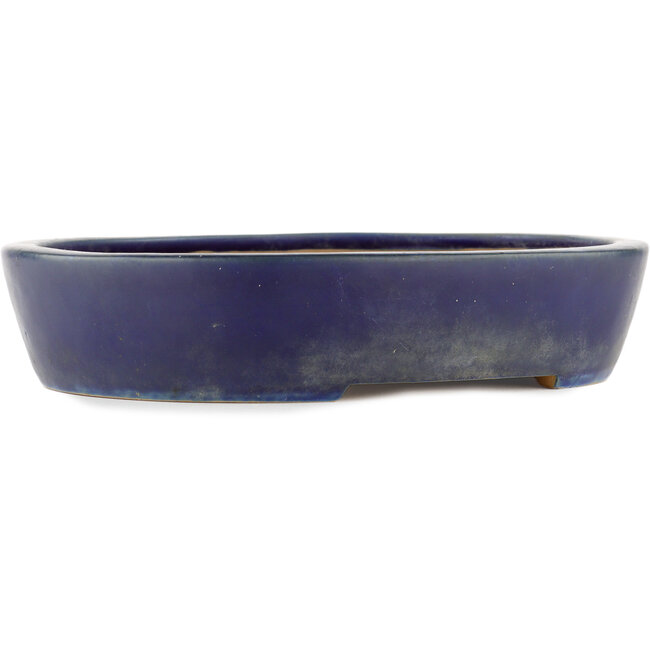 Vaso bonsai ovale blu - 317 x 264 x 67 mm