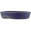 Oval blue bonsai pot - 317 x 264 x 67 mm