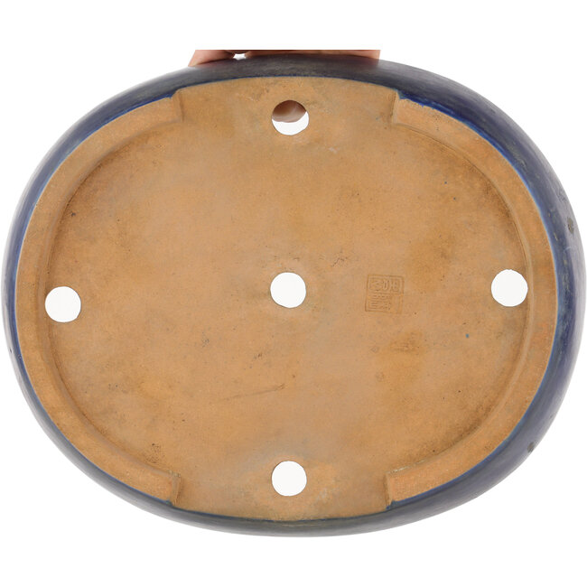 Pot à bonsaï ovale bleu - 317 x 264 x 67 mm