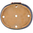 Oval blue bonsai pot - 317 x 264 x 67 mm