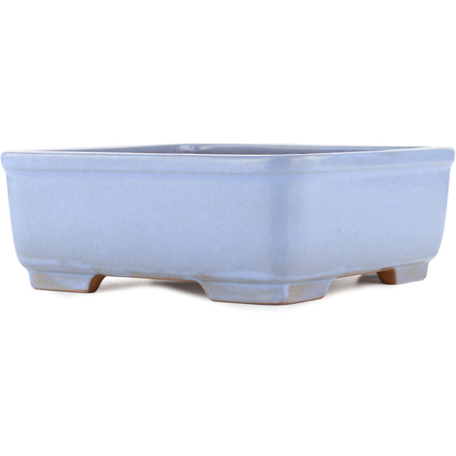 Maceta para bonsái cuadrada azul de Yamafusa - 238 x 237 x 90 mm