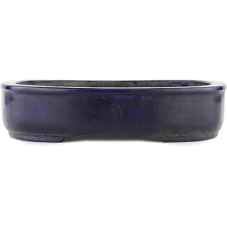 Koyo - Koichirou Aiba  277 mm  blue bonsai pot by Koyou, Tokoname, Japan