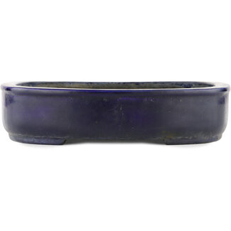 Koyo - Koichirou Aiba  Maceta para bonsái azul de 277 mm de Koyou, Tokoname, Japón