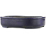 Oval blue bonsai pot by Koyou - 277 x 238 x 64 mm