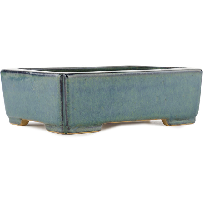 Maceta rectangular para bonsái azul de Reiho - 232 x 175 x 75 mm