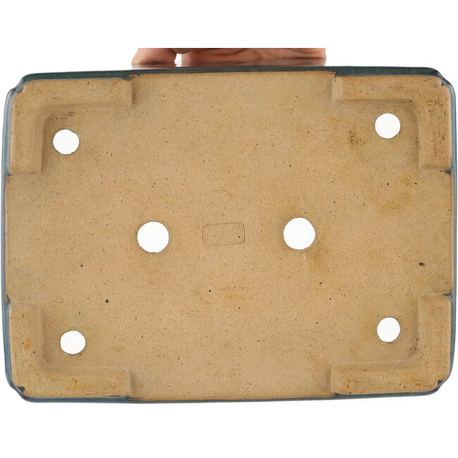 Pot à bonsaï rectangulaire bleu par Reiho - 232 x 175 x 75 mm