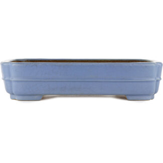  Hattori Tomoyuki 320 mm  blue bonsai pot by Hattori, Tokoname, Japan
