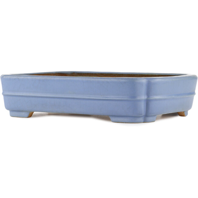 Rectangular blue bonsai pot by Hattori - 320 x 235 x 72 mm