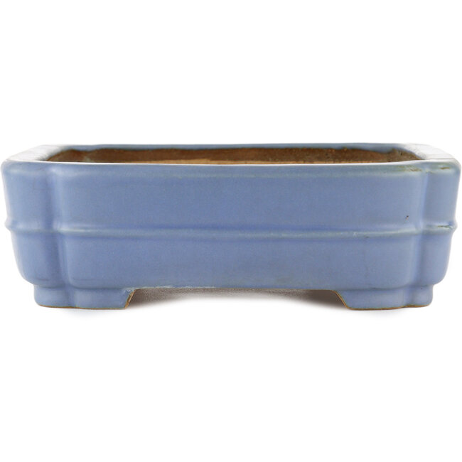 Maceta rectangular para bonsái azul de Hattori - 320 x 235 x 72 mm