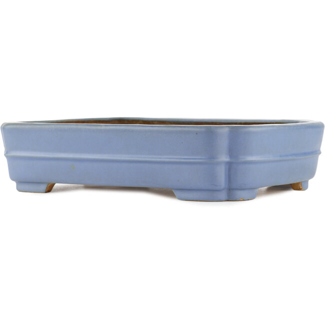 Maceta rectangular para bonsái azul de Hattori - 320 x 235 x 72 mm