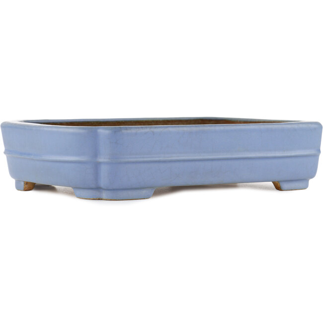 Maceta rectangular para bonsái azul de Hattori - 320 x 235 x 72 mm