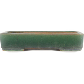 Ikkou - Watanabe Kazuhiro æ¸¡è¾ºä¸€å¼˜ 308 mm  ocean green bonsai pot by Ikkou, Tokoname, Japan