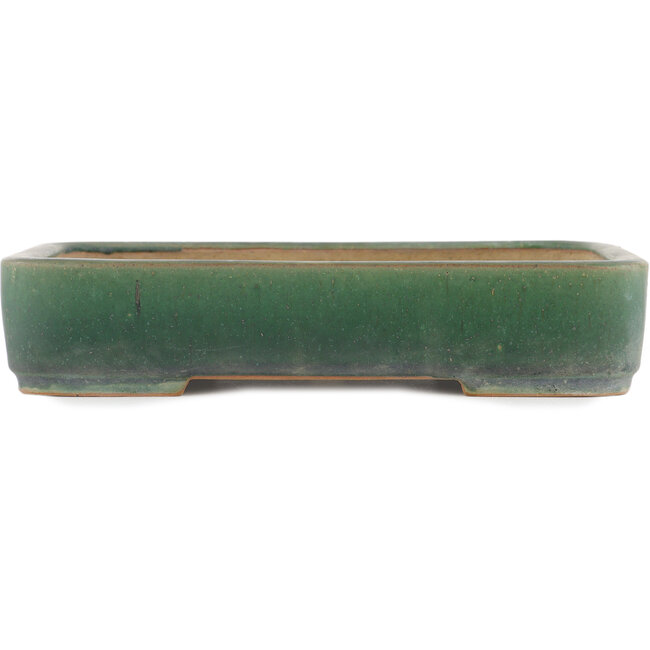 Pot à bonsaï rectangulaire vert océan par Ikkou - 308 x 230 x 61 mm