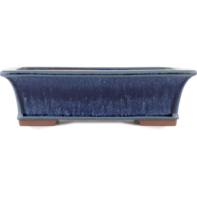 Rectangular blue bonsai pot by Eime Yozan - 315 x 242 x 88 mm