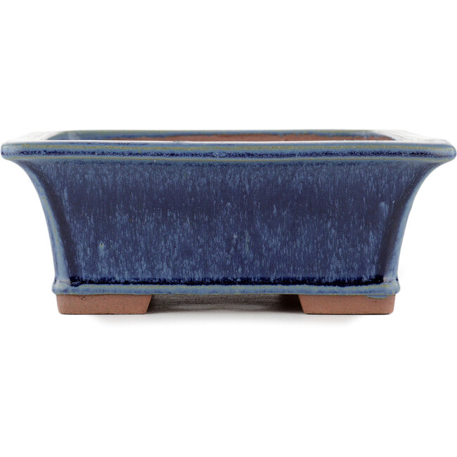 Rechteckiger blauer Bonsai-Topf von Eime Yozan - 315 x 242 x 88 mm