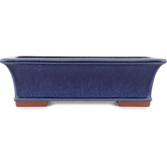 Rechteckiger blauer Bonsai-Topf von Eime Yozan - 315 x 242 x 90 mm