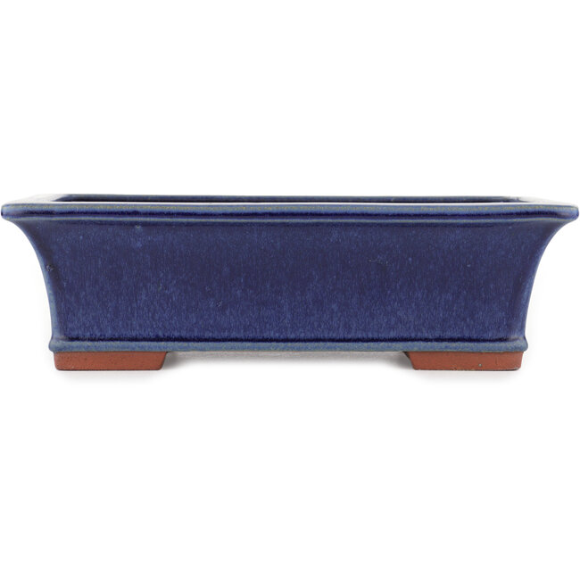 Rectangular blue bonsai pot by Eime Yozan - 315 x 242 x 90 mm