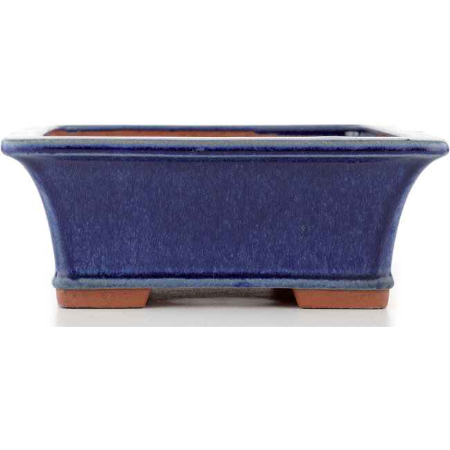 Rechteckiger blauer Bonsai-Topf von Eime Yozan - 315 x 242 x 90 mm