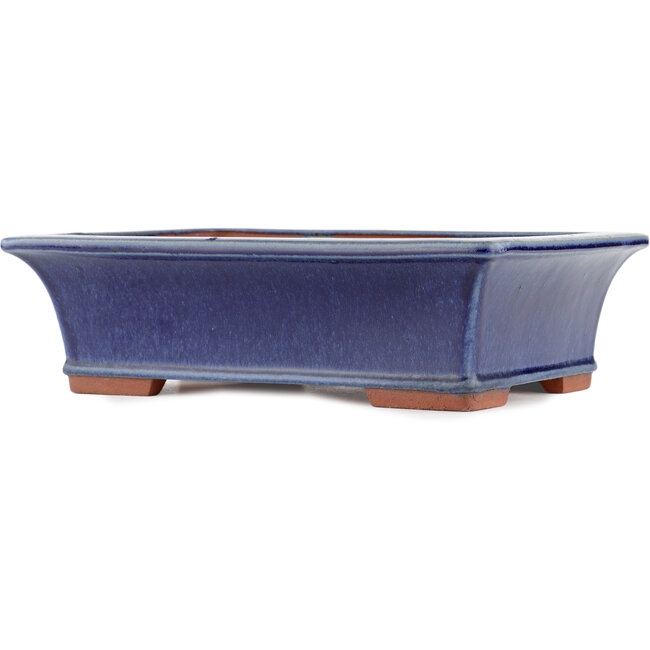 Rectangular blue bonsai pot by Eime Yozan - 315 x 242 x 90 mm