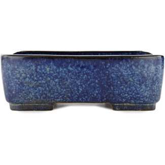 Satomi Mazan, Mazan Terahata Vaso bonsai blu da 242 mm di Terahata Satomi Mazan, Tokoname, Giappone