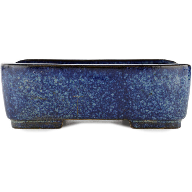 Rechteckiger blauer Bonsai-Topf von Terahata Satomi Mazan - 242 x 207 x 80 mm