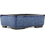 Rectangular blue bonsai pot by Terahata Satomi Mazan - 242 x 207 x 80 mm