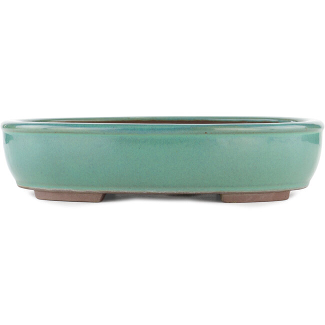 Pot à bonsaï ovale turquoise par Yamaaki - 340 x 280 x 78 mm