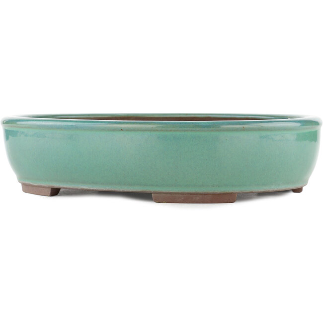 Vaso bonsai ovale turchese di Yamaaki - 340 x 280 x 78 mm
