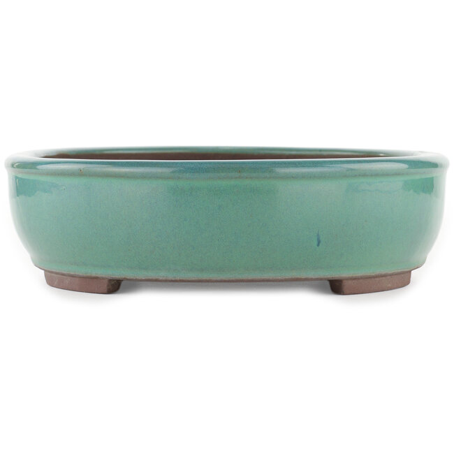 Pot à bonsaï ovale turquoise par Yamaaki - 340 x 280 x 78 mm