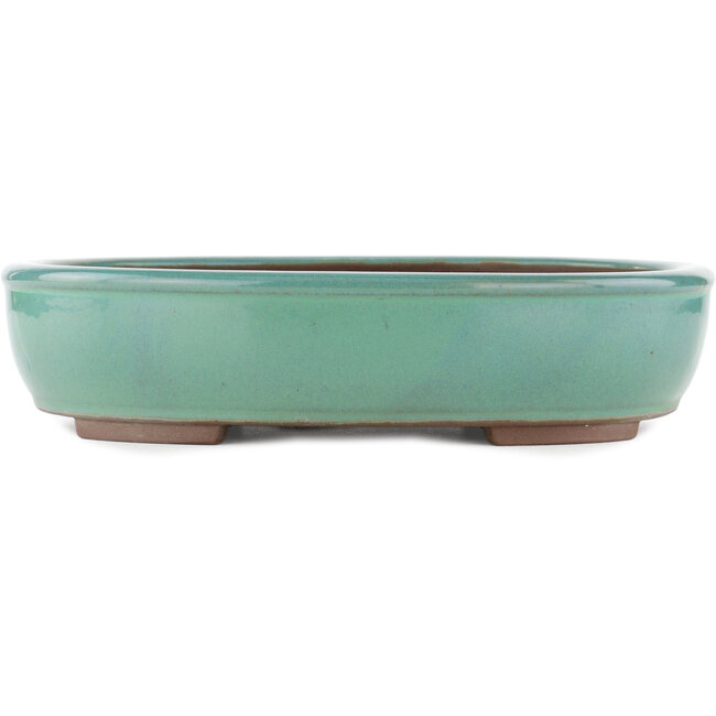 Vaso bonsai ovale turchese di Yamaaki - 340 x 280 x 78 mm