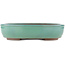 Vaso bonsai ovale turchese di Yamaaki - 340 x 280 x 78 mm