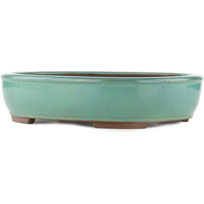 Maceta ovalada para bonsái turquesa de Yamaaki - 340 x 280 x 78 mm