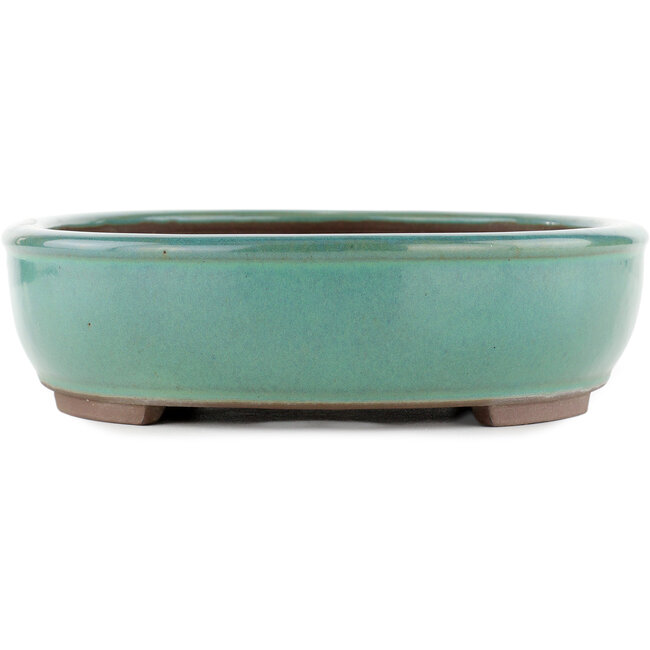Maceta ovalada para bonsái turquesa de Yamaaki - 340 x 280 x 78 mm