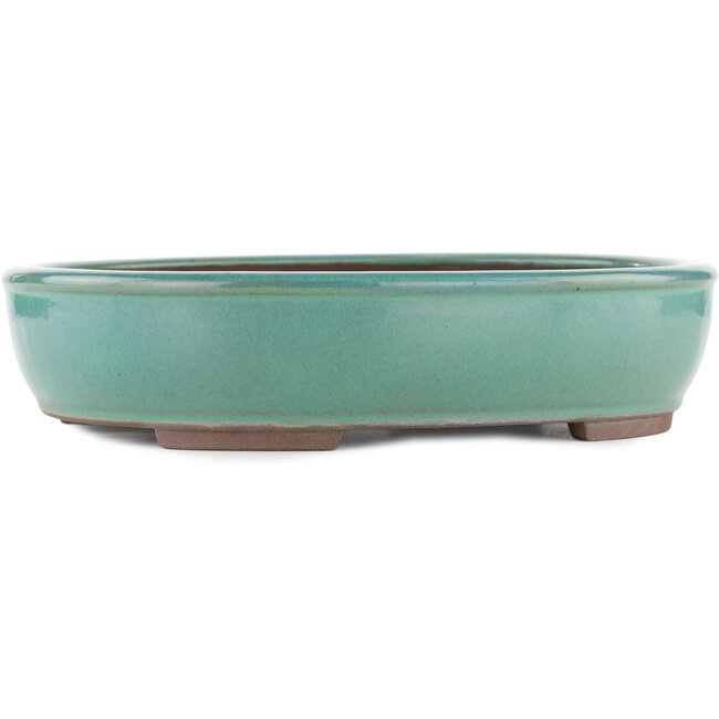 Vaso bonsai ovale turchese di Yamaaki - 340 x 280 x 78 mm