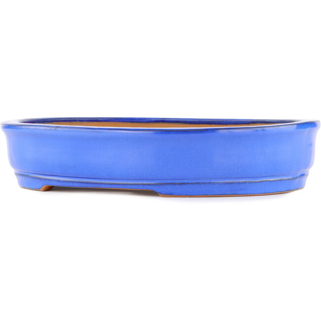 Pot à bonsaï ovale bleu par Itouen - 318 x 267 x 65 mm