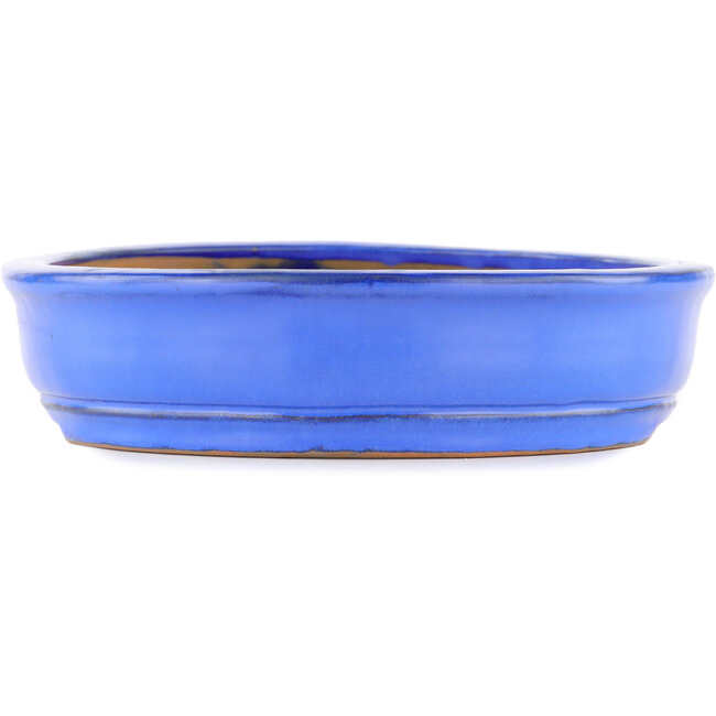 Oval blue bonsai pot by Itouen - 318 x 267 x 65 mm