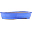 Oval blue bonsai pot by Itouen - 318 x 267 x 65 mm