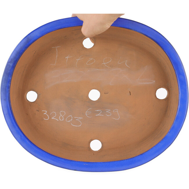 Vaso bonsai ovale blu di Itouen - 318 x 267 x 65 mm