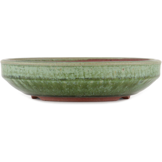 Runder grüner Bonsai-Topf von Eime Yozan - 188 x 188 x 47 mm