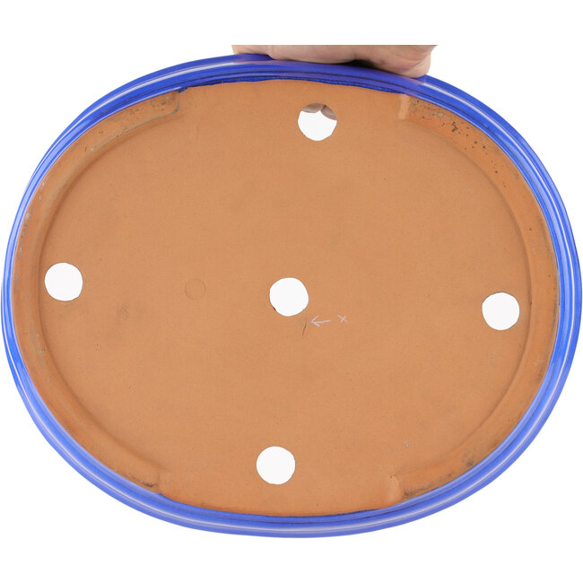 Ovale blauwe bonsaipot van Itouen - 318 x 267 x 65 mm